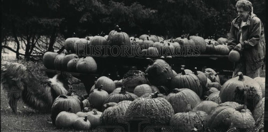 1992 Press Photo Delores Lueder checks the pumpkins at the Lueder Dairy Farm - Historic Images