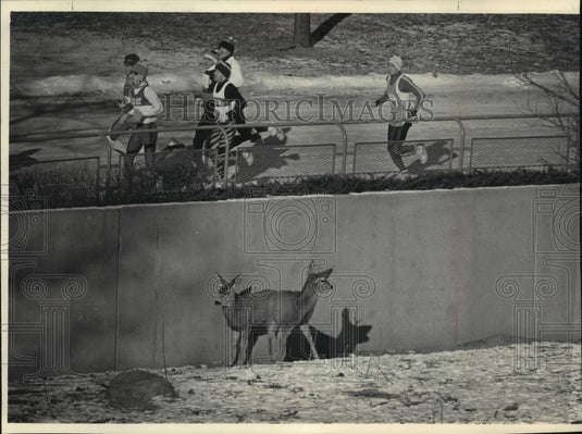 1987 Press Photo Annual Sampson Stomp race at Milwaukee County Zoo - mjb55575 - Historic Images