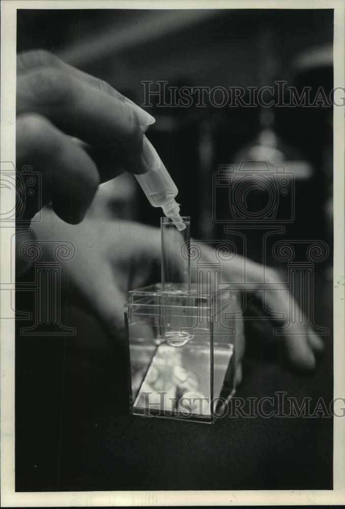 1985 Press Photo Home Pregnancy tests offer news quickly in privacy - mjb57086 - Historic Images