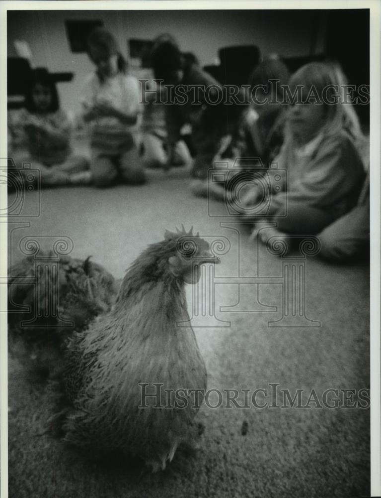 1994 Press Photo Children Meet Chickens At Animal Families Camp Milwaukee Zoo - Historic Images