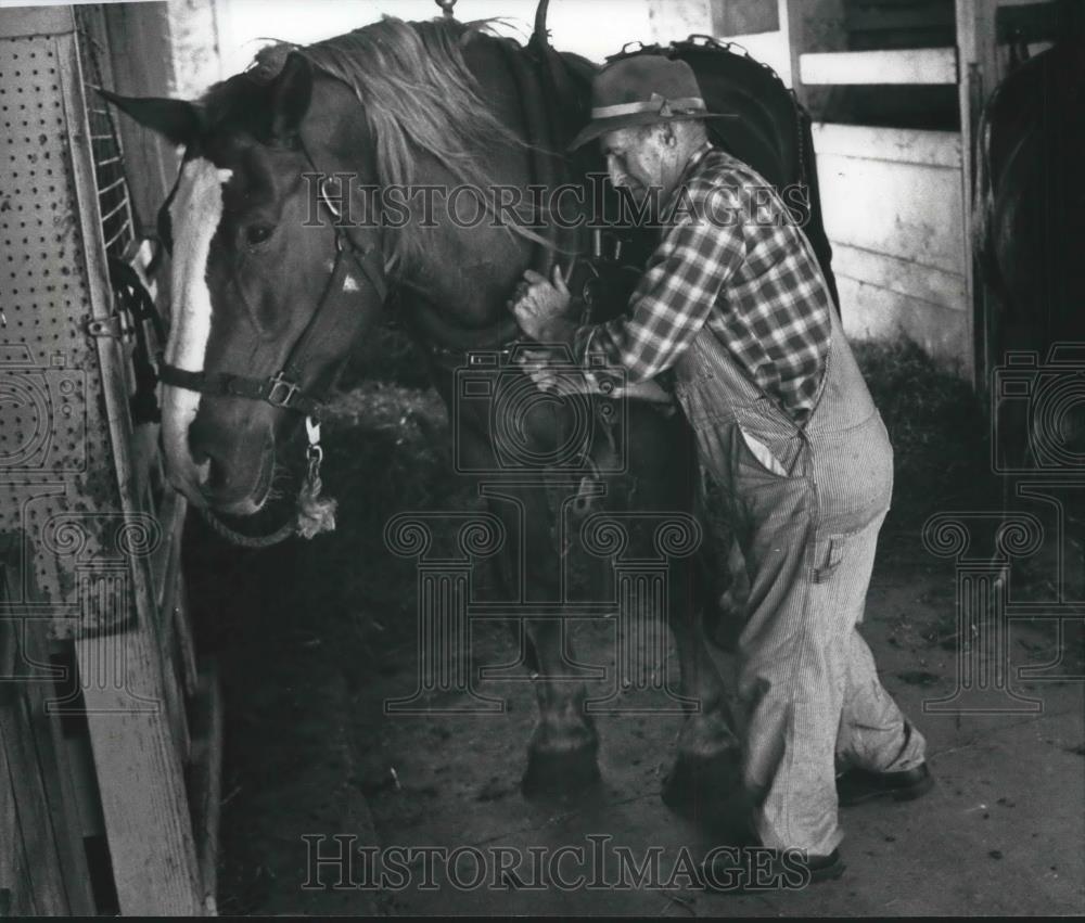 1990 Press Photo John Colby, removes harness from horse, Oak Ridge Farm. - Historic Images