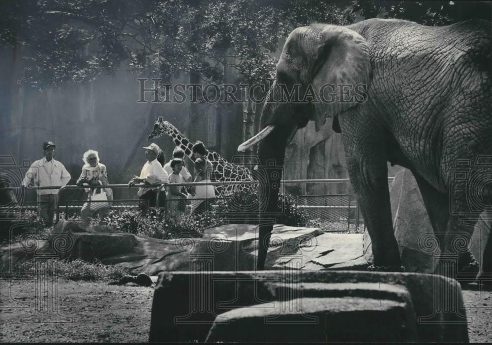 1984 Press Photo Senior Citizen Day at the Milwaukee County Zoo in Wisconsin - Historic Images