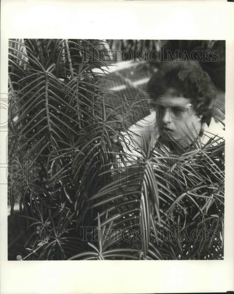 1980 Press Photo Diamond Shamrock Co. Technician Checks Euphorbia Plant Progress - Historic Images