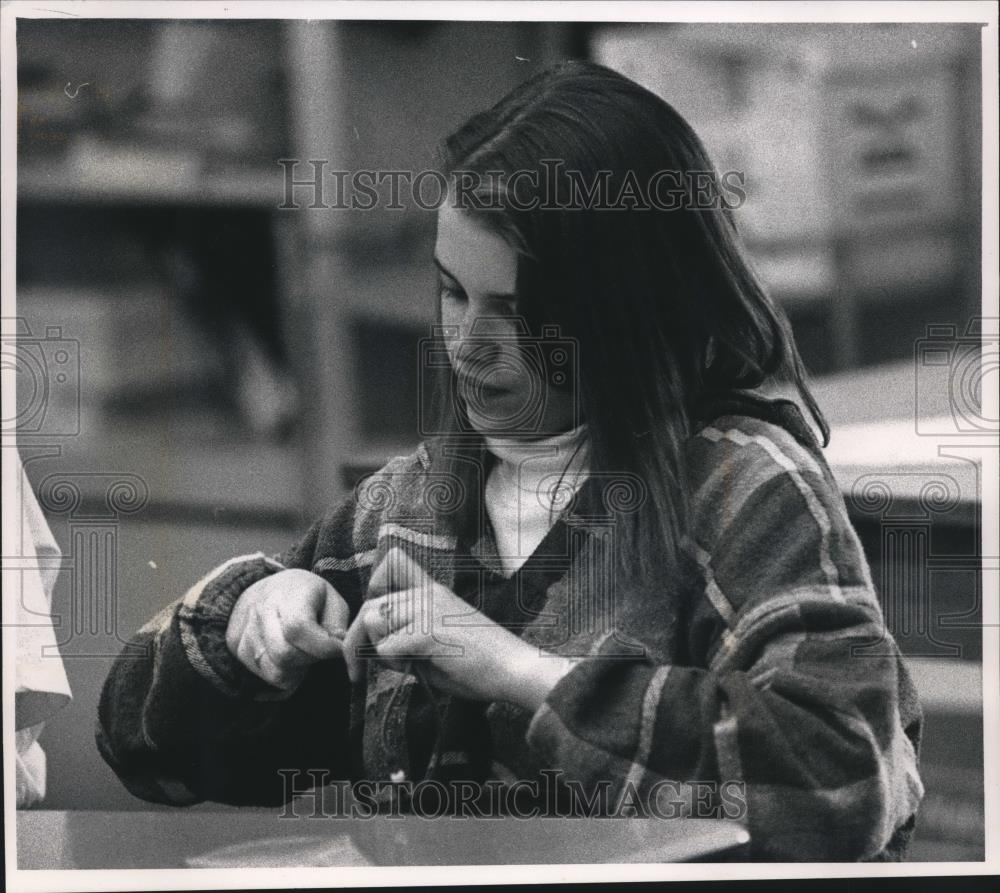 1993 Press Photo Christa Greene, Hartland Elementary School, Cultural Arts Day - Historic Images