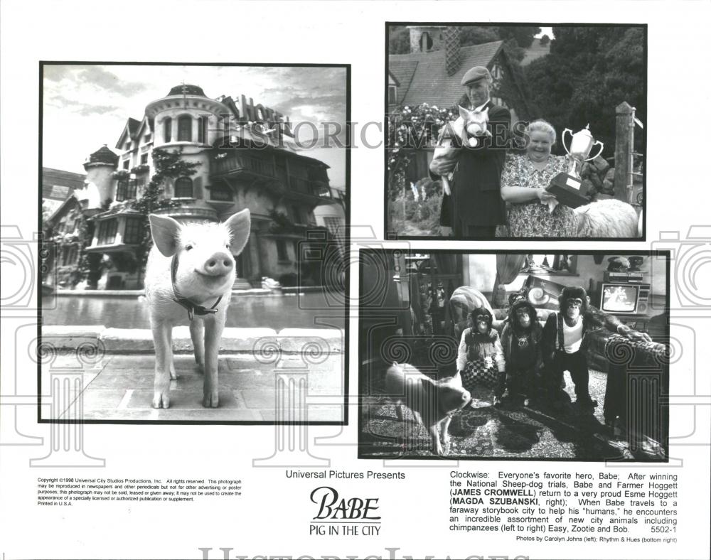 1996 Press Photo Babe Pig In The City sequel movie - RRV37833 - Historic Images