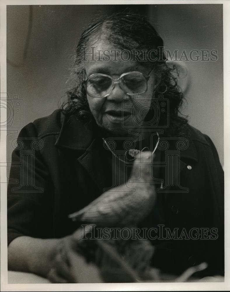 Press Photo Alabama-Birmingham-Josephine Cole works on ceramics at Eldergarten. - Historic Images