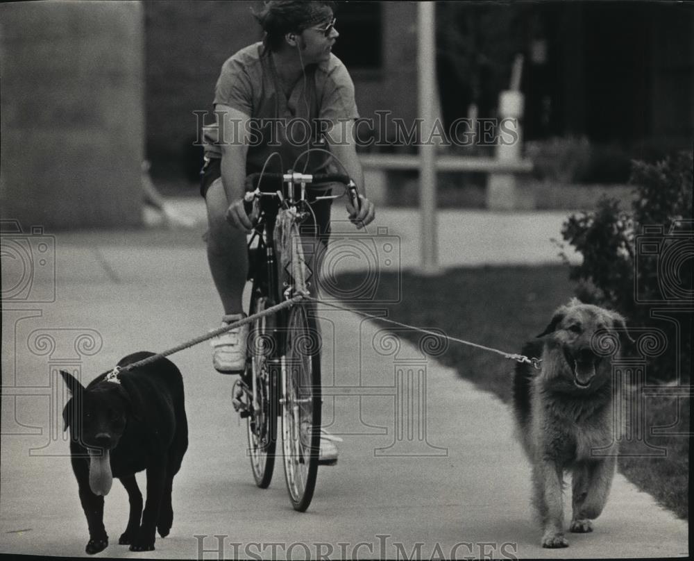 1992 Press Photo Steve Neumann rides with his dogs at Marquette University - Historic Images