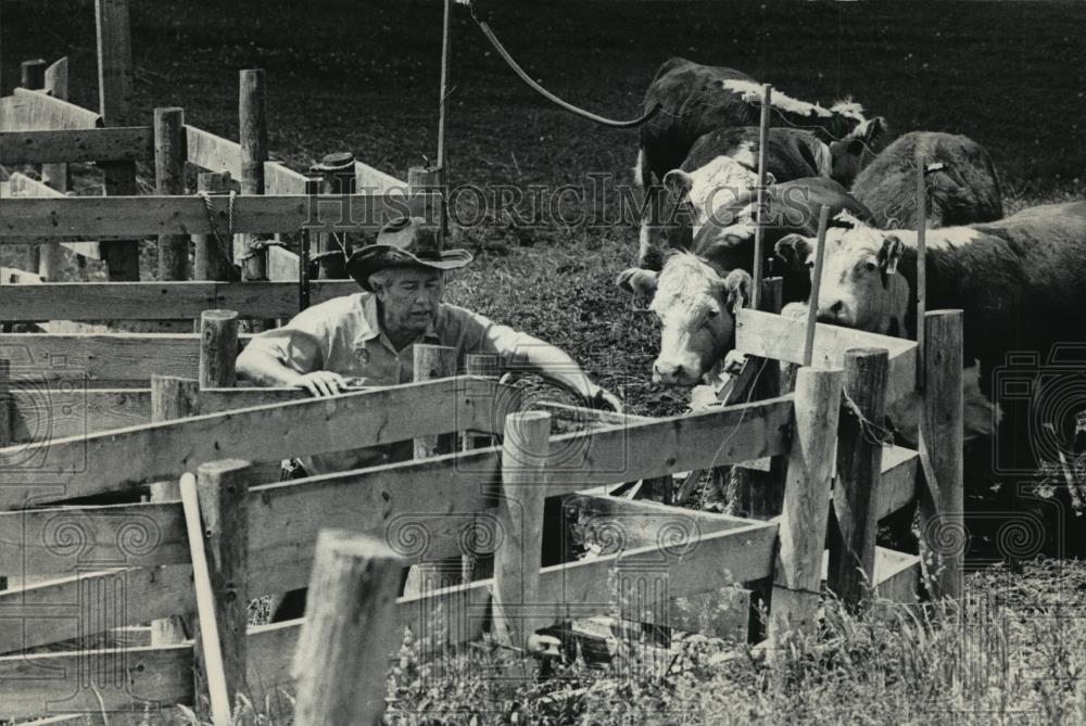 1984 Press Photo Don Gallagher rounding up cows into the corral on his farm - Historic Images