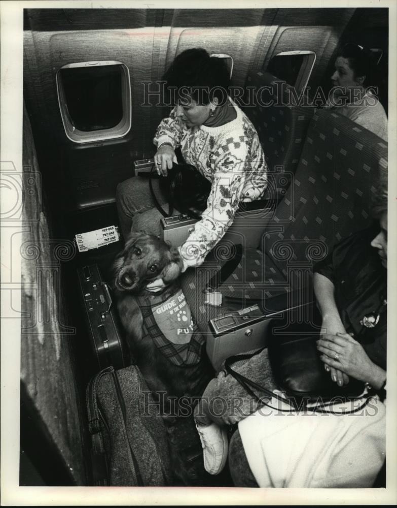 1990 Press Photo Deborah and her dog Cisco on a trip to Palm Springs. - Historic Images