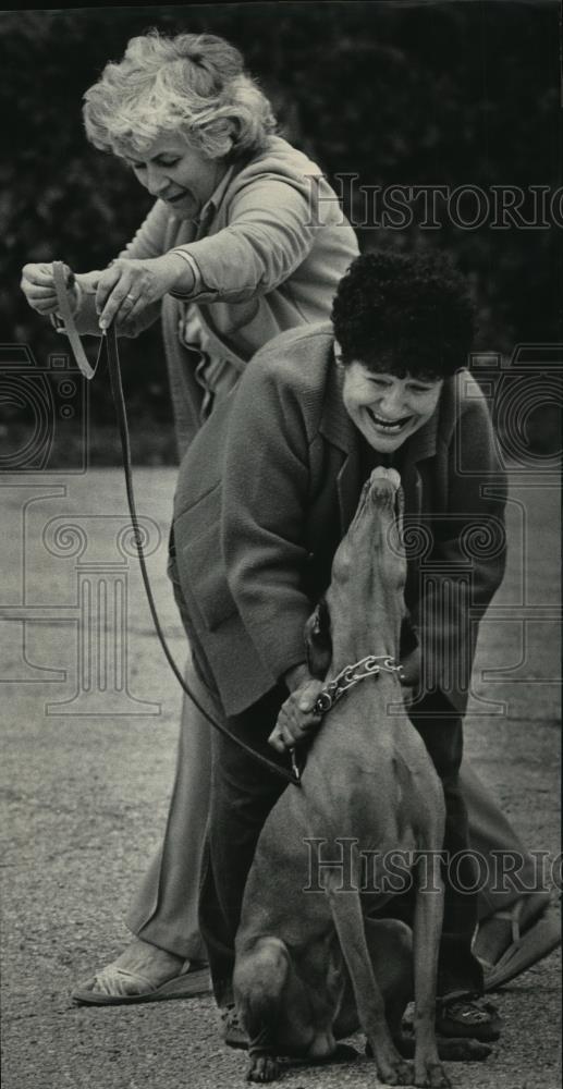 1985 Press Photo Duke, a Vizla, gave teacher a kiss during obedience session. - Historic Images