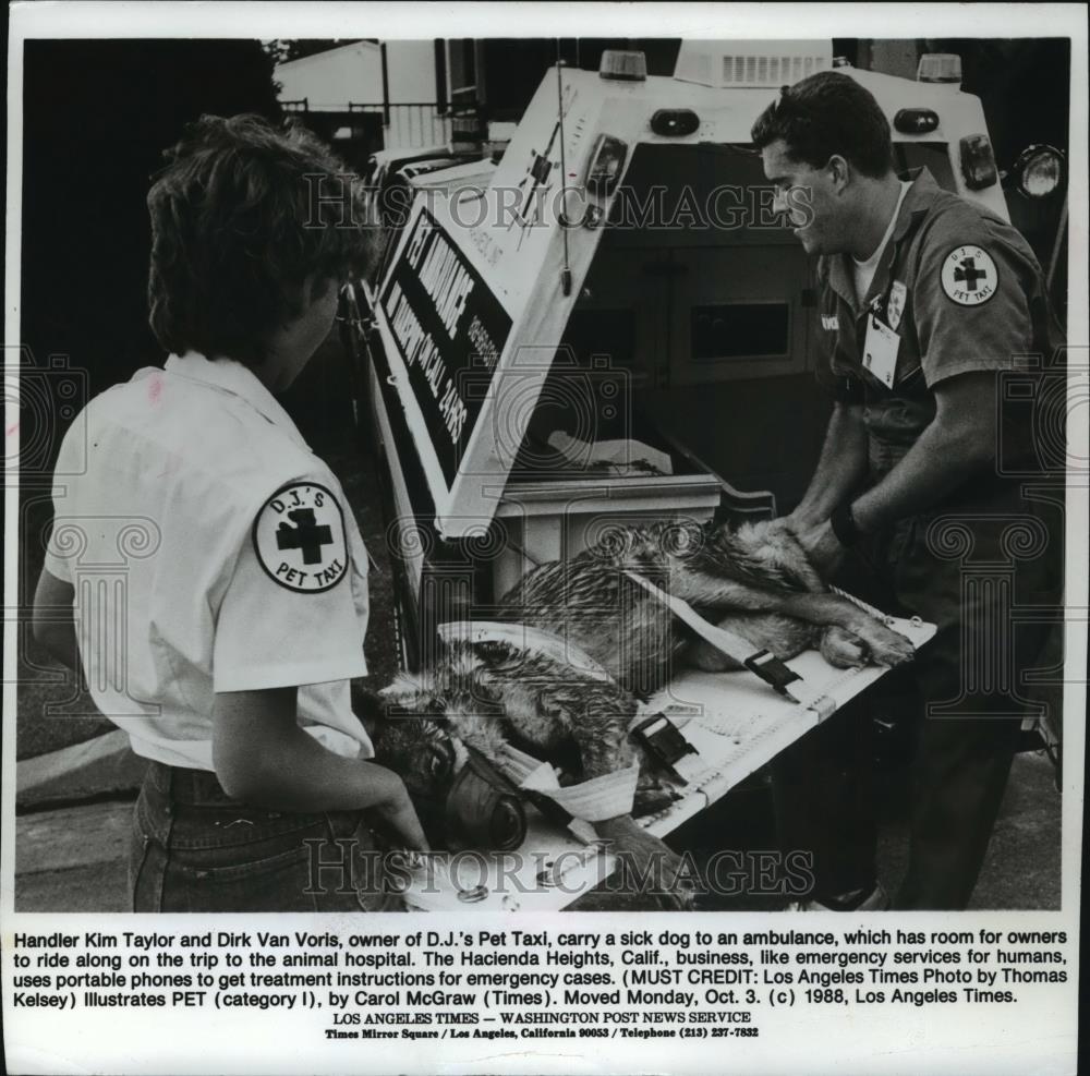 1988 Press Photo Handler Kim Taylor and Dirk Van Voris carry sick dog - Historic Images