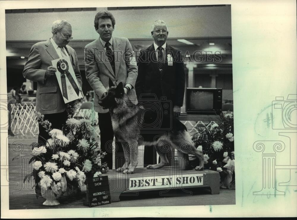 1987 Press Photo German Shepherd wins Best in Show in Wisconsin - mja97543 - Historic Images