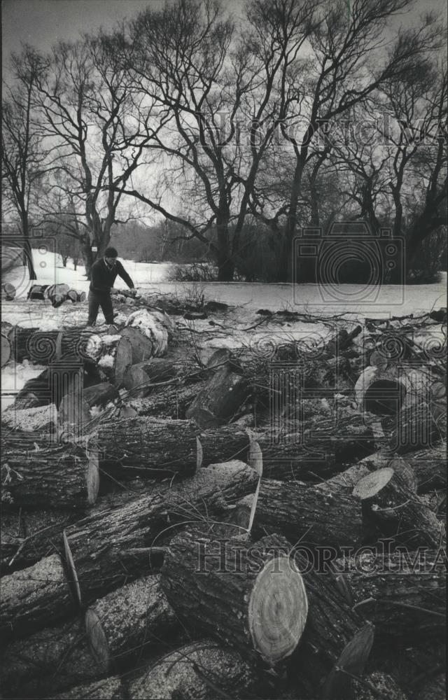 1984 Press Photo Milwaukee, Estabrook Park, employee cleans up winter damage. - Historic Images