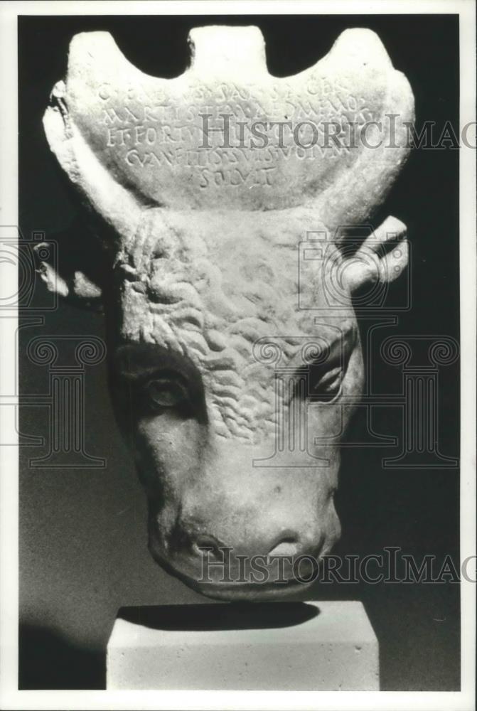 1994 Press Photo Marble Bull Head at the Milwaukee Art Museum - mja99938 - Historic Images