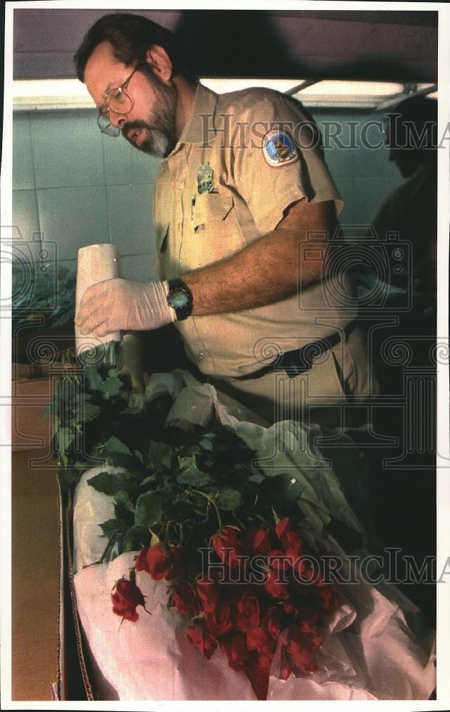 1993 Press Photo Roses Arriving From Colombia are Checked at the Airport in Fla. - Historic Images