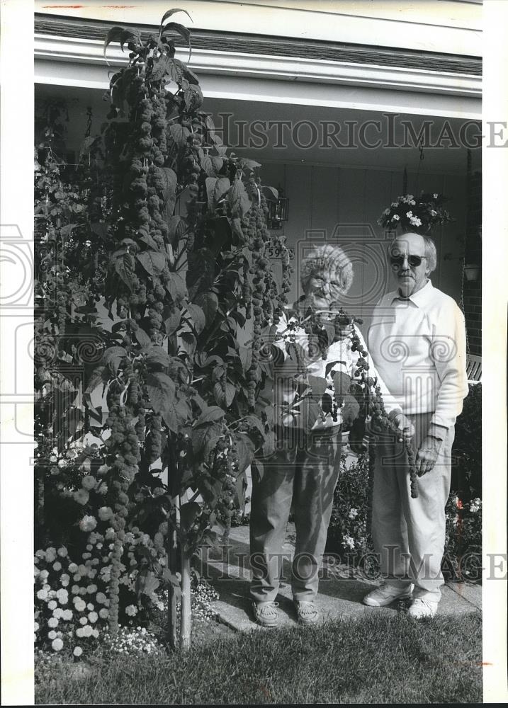 1994 Press Photo Helen and Clayton Shaver with their love-lies-bleeding flower - Historic Images