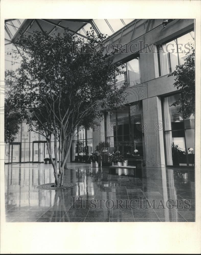 1985 Press Photo the 411 Building and its Spacious Atrium - mjb10923 - Historic Images