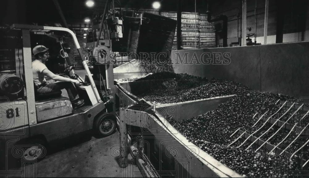 1988 Press Photo Ocean Spray Cranberries, Inc - mjb63864 - Historic Images