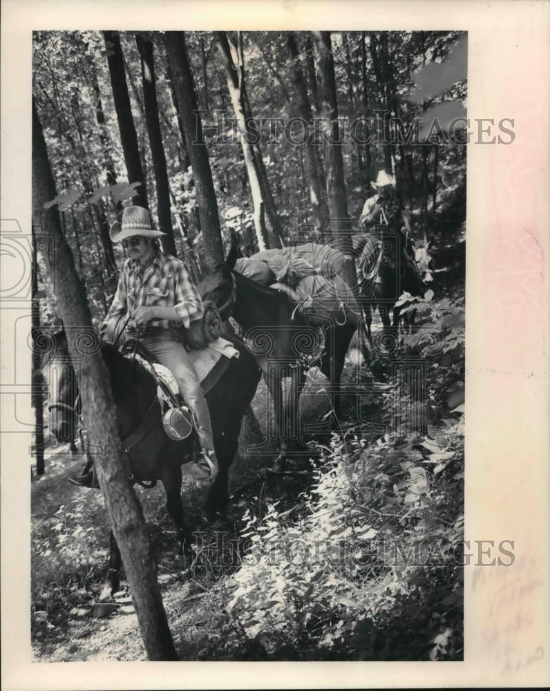 1983 Press Photo Group of horseback rider enjoy a ride in the woods - mjb64210 - Historic Images