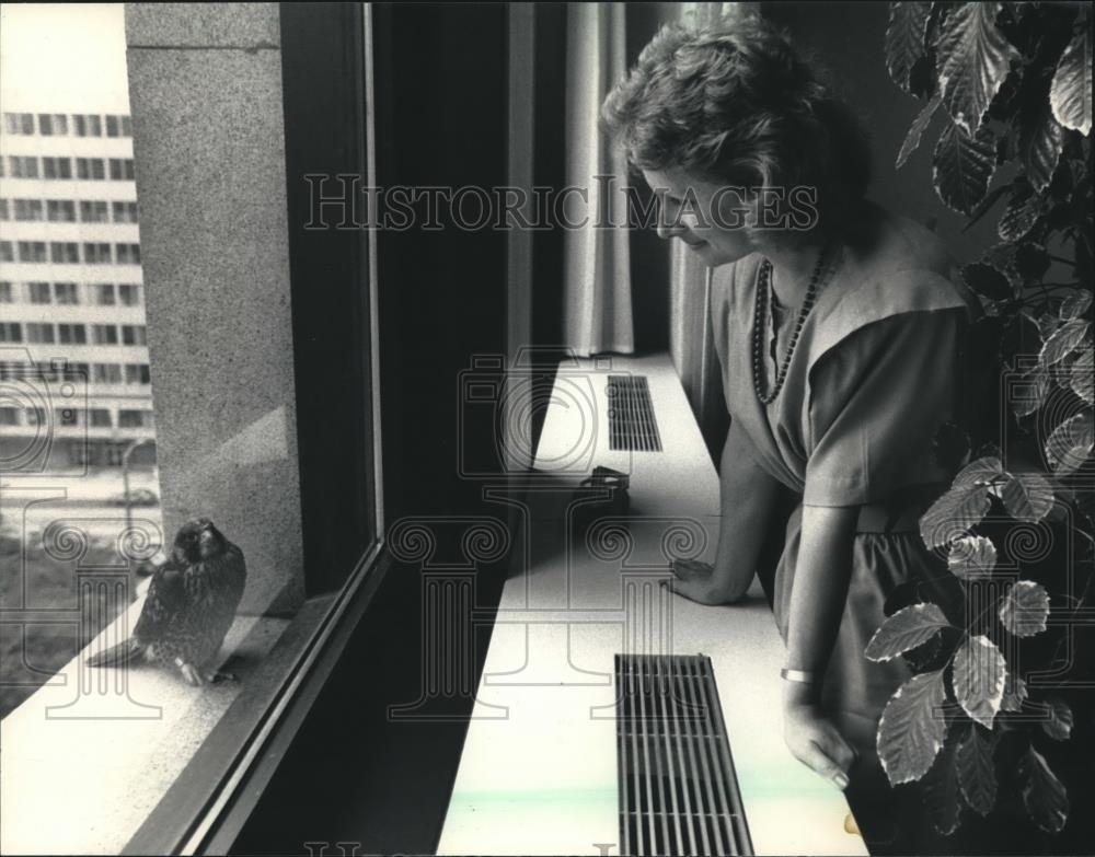 1987 Press Photo Mary sees peregrine falcon looking back at her. Milwaukee - Historic Images