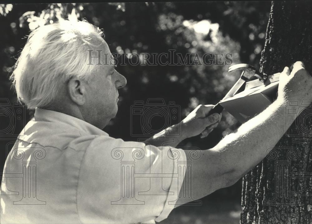 1986 Press Photo Bob Edmonds nails a gypsy moth trap to a tree to catch insects - Historic Images