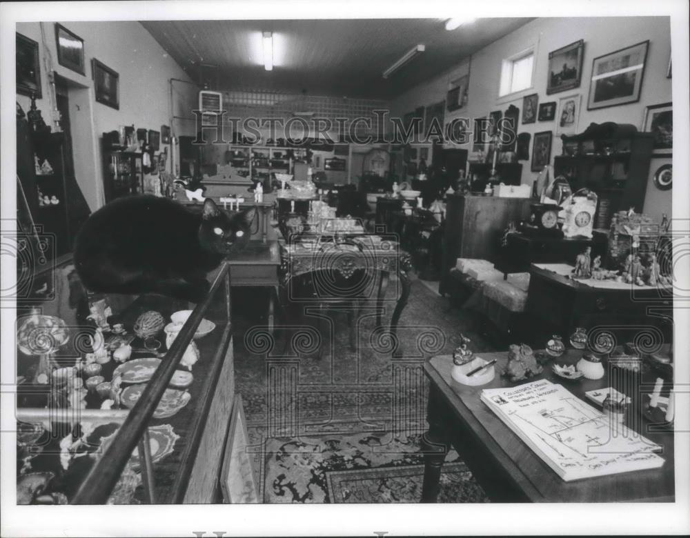 Press Photo Corner Antiques shop in Newburg, Wisconsin. - mjb71067 - Historic Images