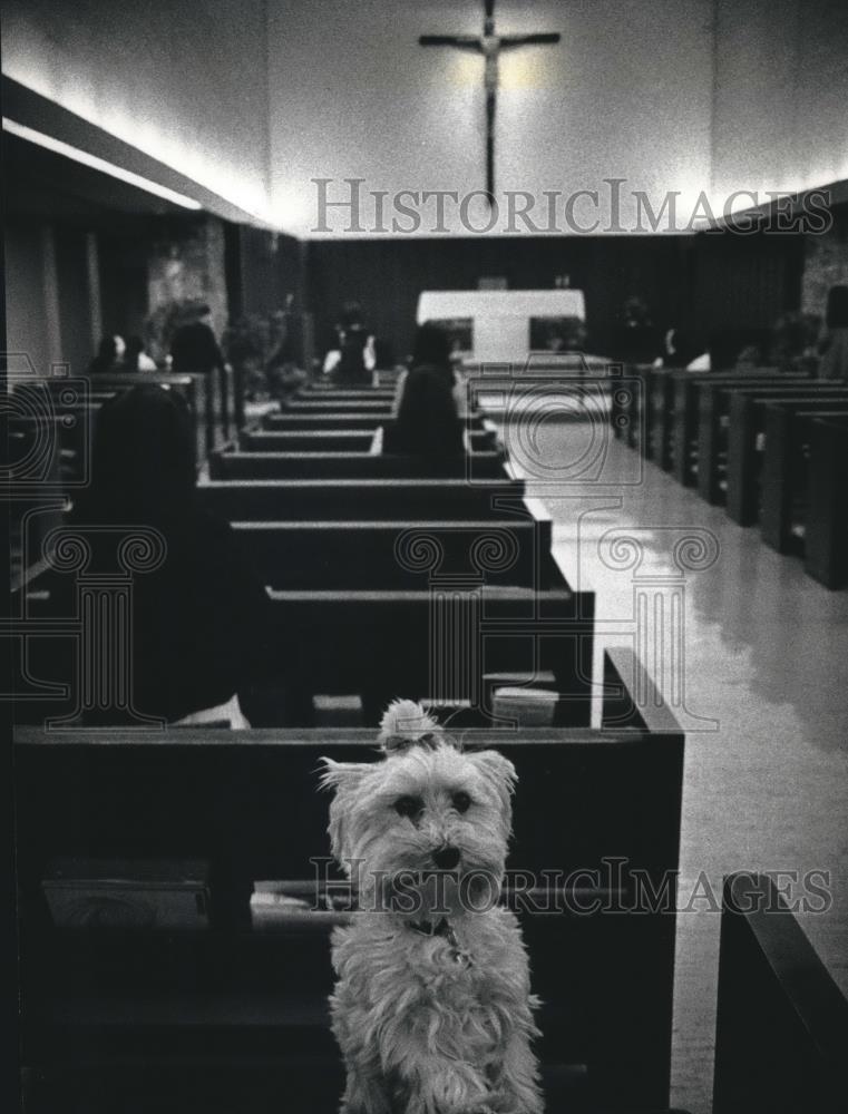 1990 Press Photo Chi Chi attends mass at Nazareth Heights, Milwaukee - mjb63085 - Historic Images