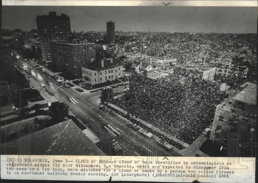 1981 Press Photo Male midges flying over Milwaukee - mjb69876 - Historic Images