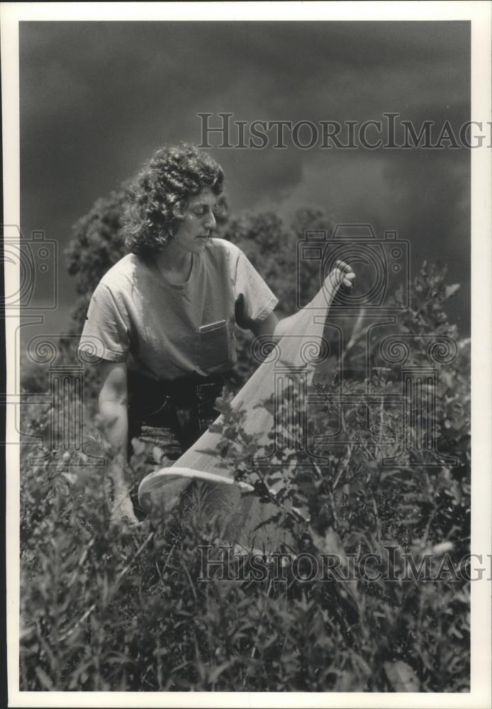 1992 Press Photo Sue Borkin search for butterfly Riveredge Nature Center Newburg - Historic Images