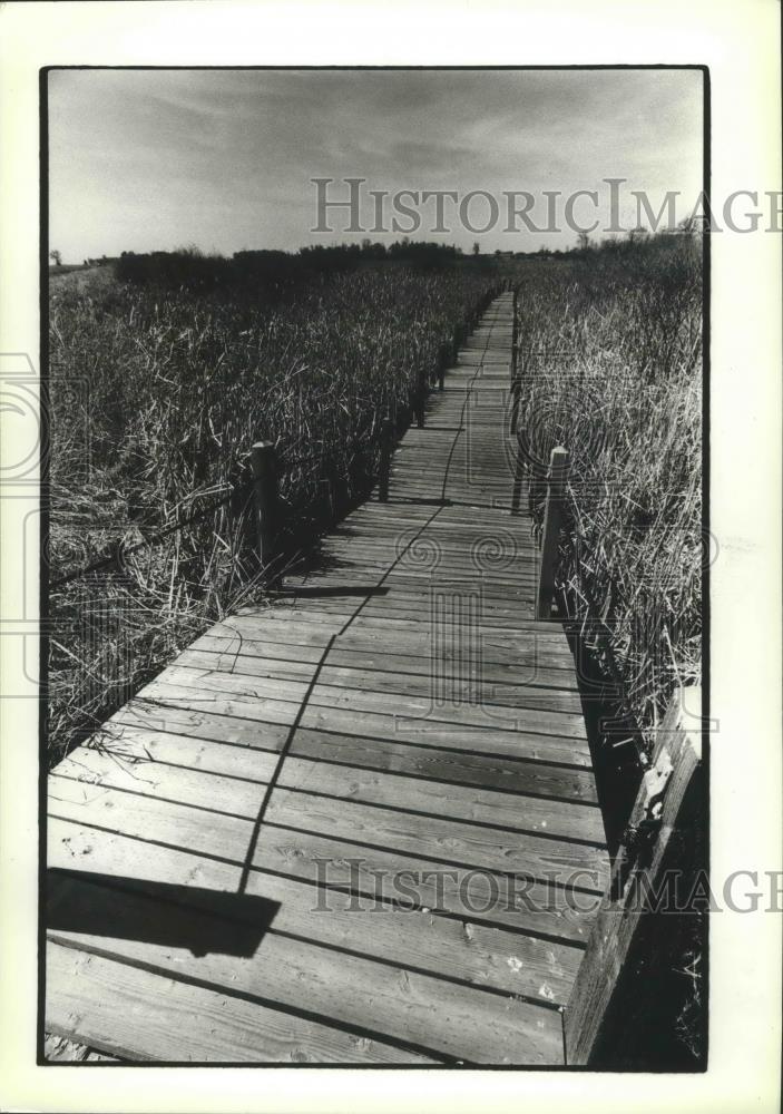 1981 Press Photo Boardwalk traversing Horicon Marsh, Wisconsin - mjb70404 - Historic Images