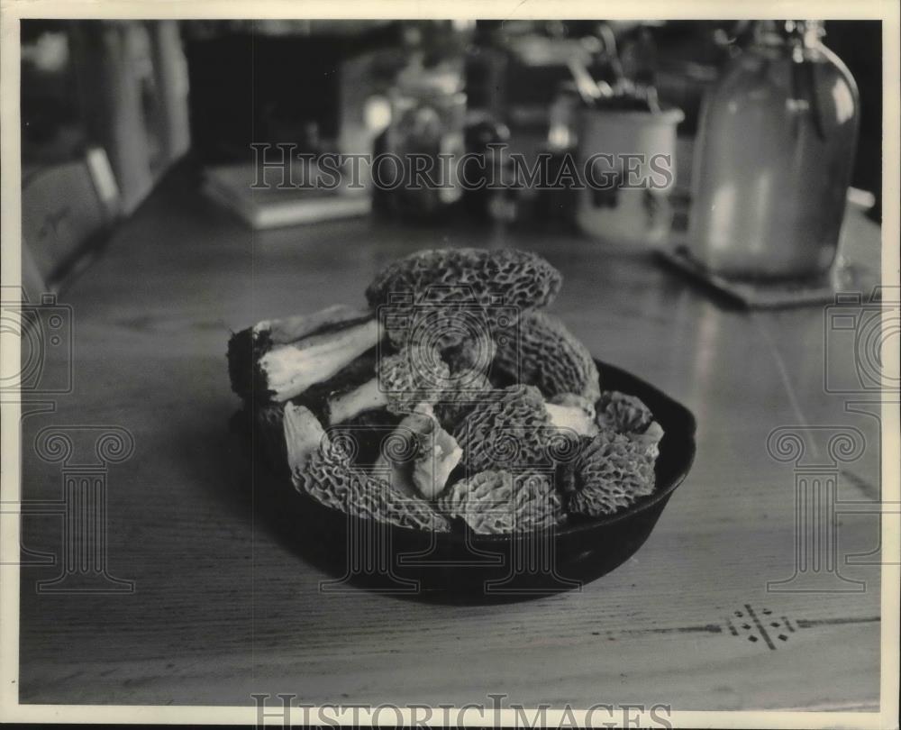 1989 Press Photo Morel mushrooms, sixth annual Mushroom Fair, Milwaukee - Historic Images