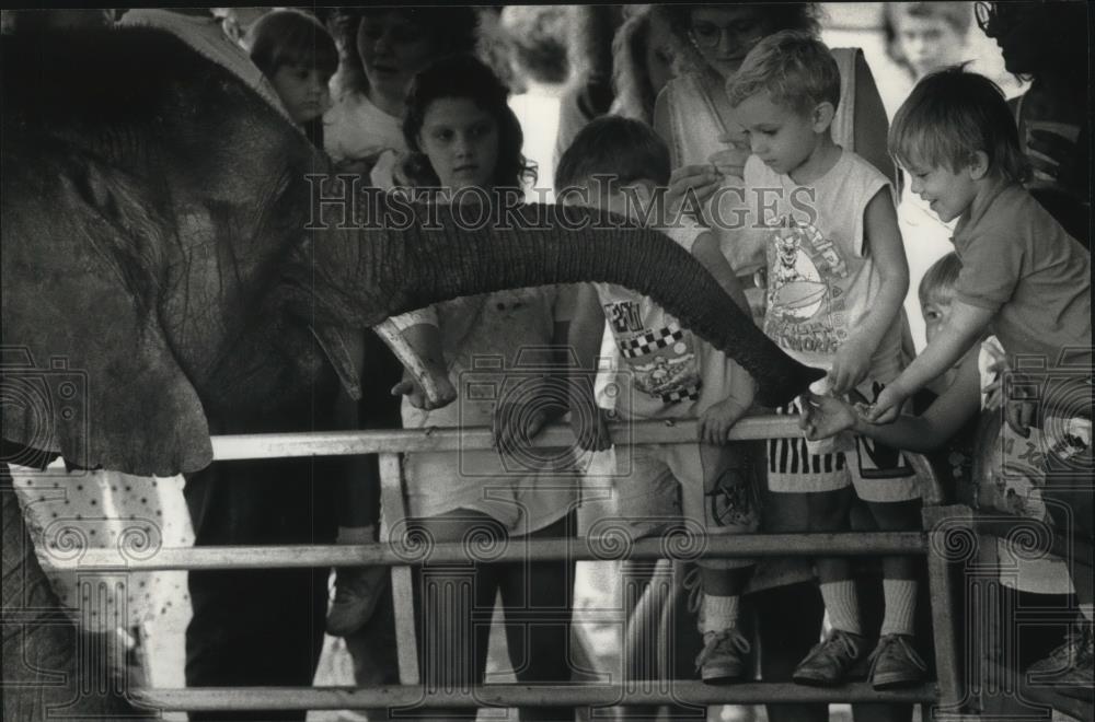 1990 Press Photo Baby elephant reaches for snack from crowd. Muskego County Fair - Historic Images