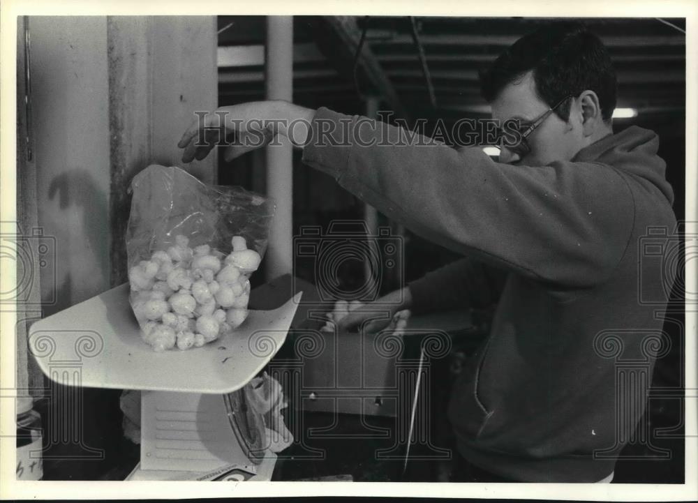 Press Photo Lennart Henderson weighs mushrooms to send to market. - mjb70940 - Historic Images