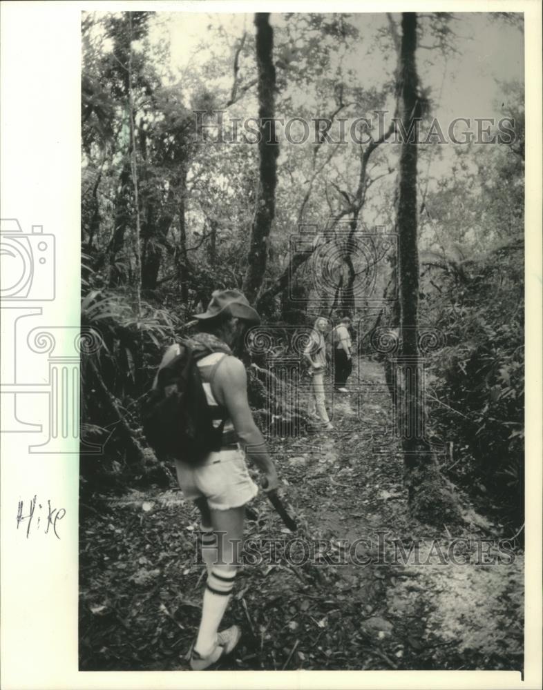 1988 Press Photo Sylvia Birus, Lee Aschoff led by guide on Fairy Trail, Jamaica. - Historic Images