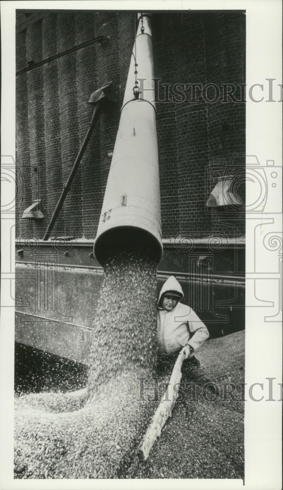 1978 Press Photo Longshoreman William Dalbec levels seeds by a chute in Duluth - Historic Images