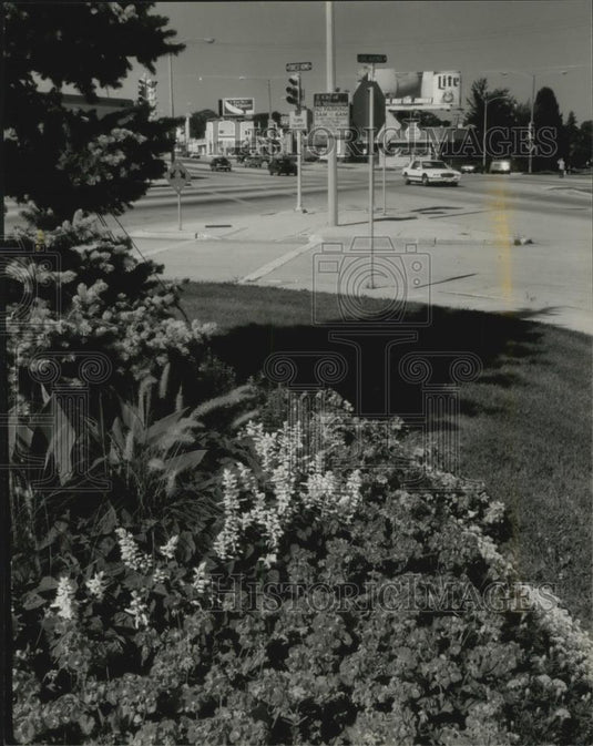 1994 Press Photo Flowers bloom near traffic intersection in Milwaukee - Historic Images