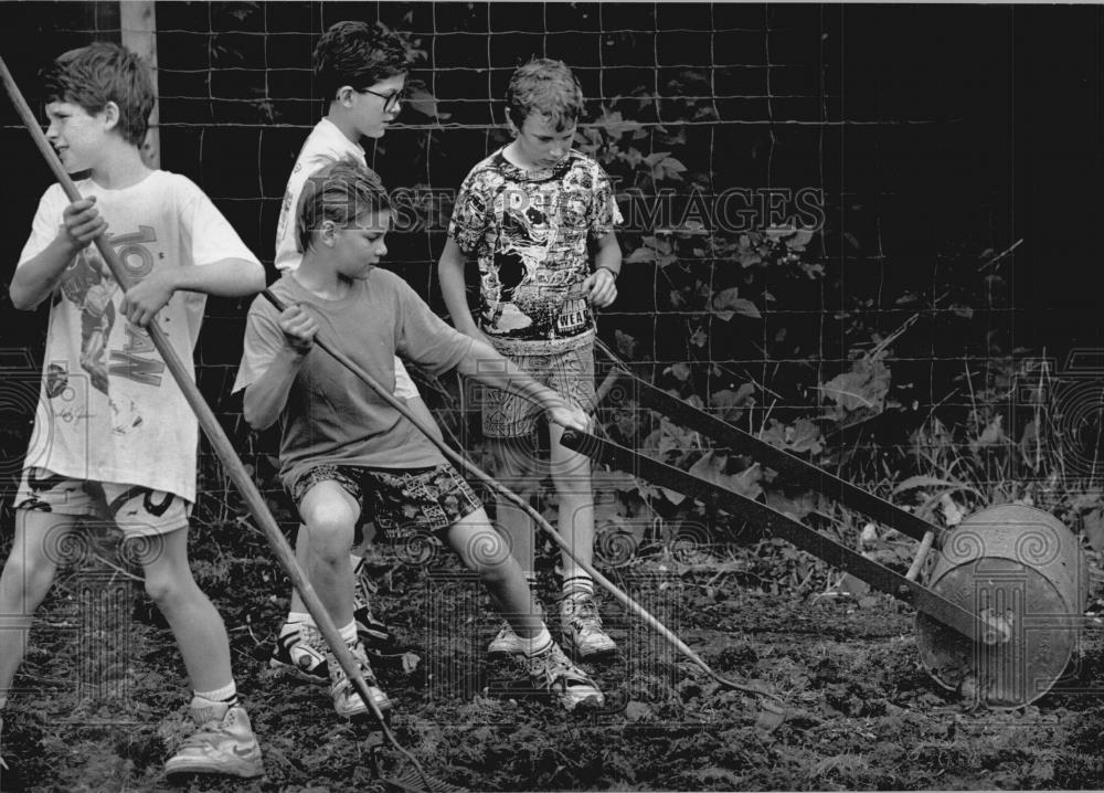 1991 Press Photo Students work in School Arboretum, Wisconsin - mjb77164 - Historic Images