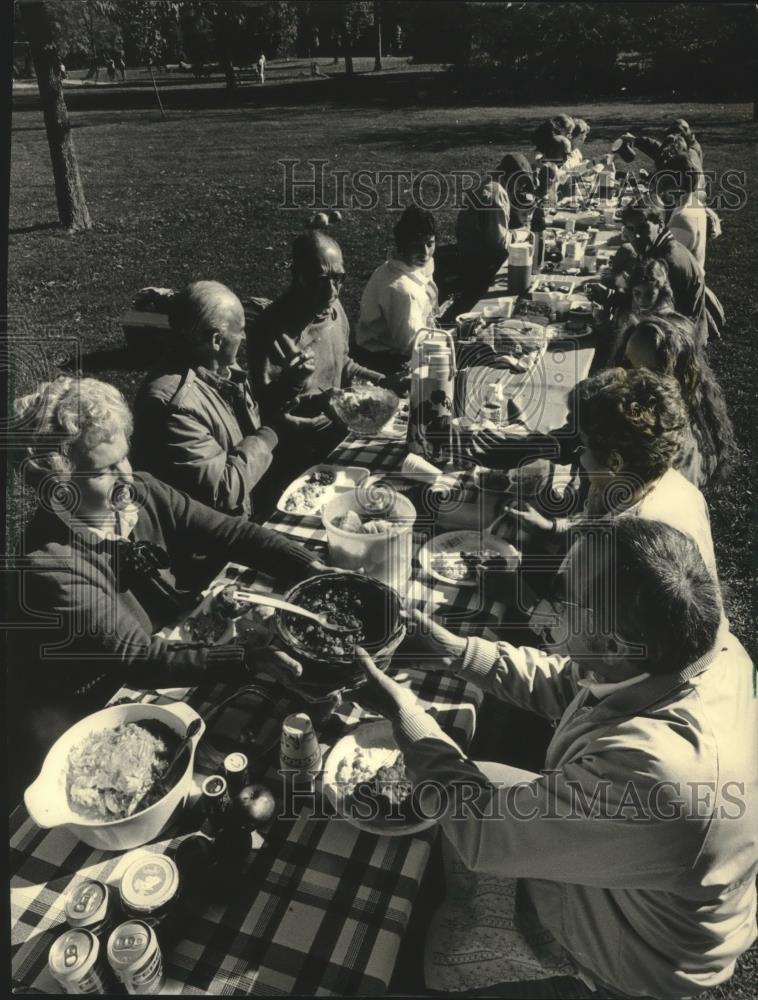 1987 Press Photo Families enjoying a Sunday picnic at Whitnall Park, Wisconsin - Historic Images