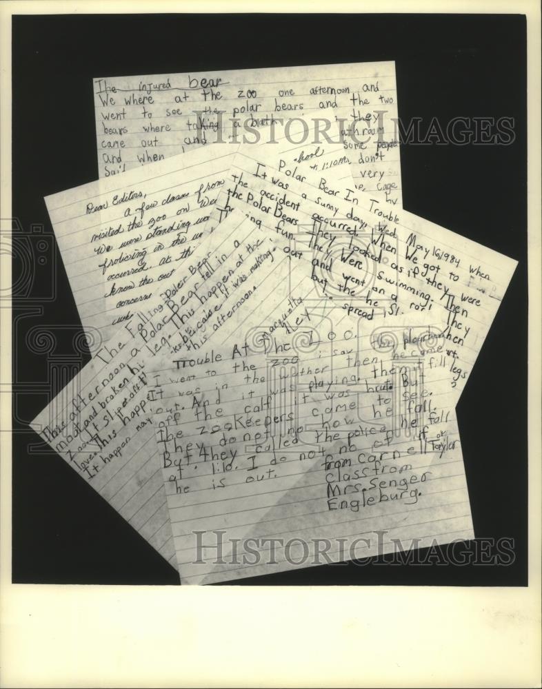 1984 Press Photo Letters from children who saw polar bear Cirrus fall, Milwaukee - Historic Images