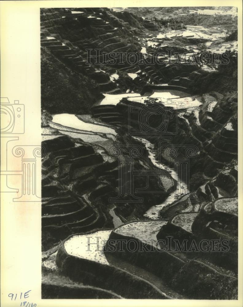 1979 Press Photo Rice terraces in 400 square miles of Banaue, Philippines - Historic Images