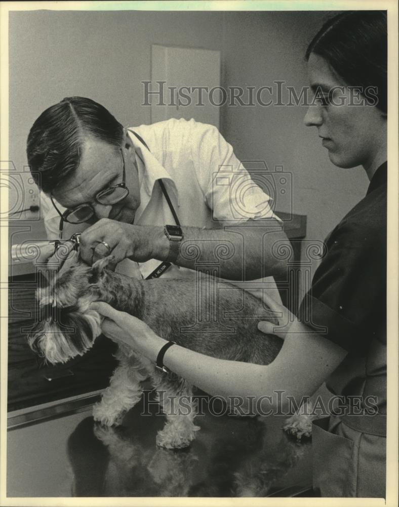 1984 Press Photo Heidi the dog gets ears checked at Lakeside Animal Hospital - Historic Images