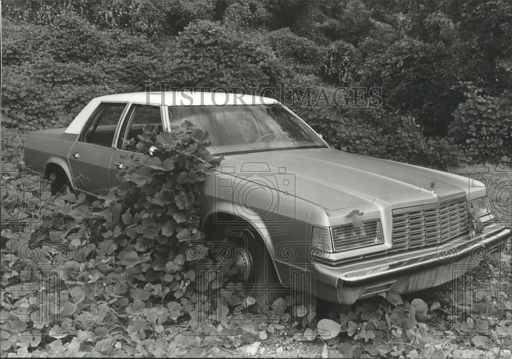 1980 Press Photo Vines growing over unused patrol car, Jefferson County, Alabama - Historic Images