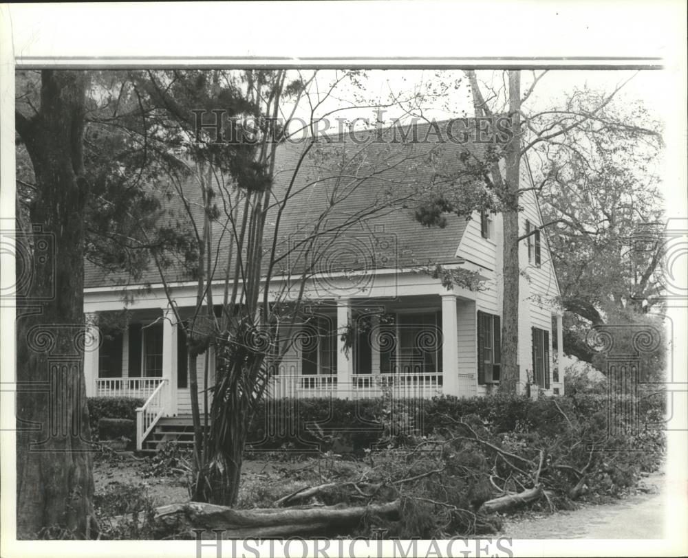 1979 Press Photo Fallen trees in yard of home after hurricane Frederic - Historic Images