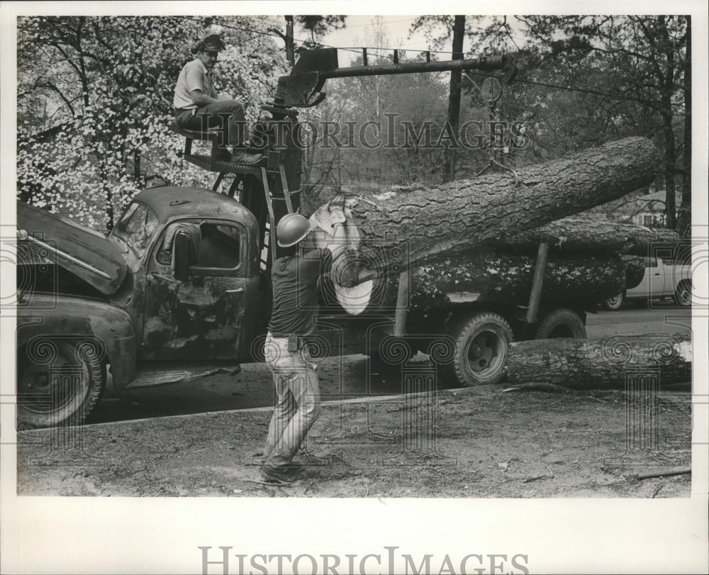 1991 Press Photo Loading logs on truck after storm in Homewood, Alabama - Historic Images