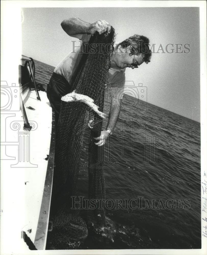 1982 Press Photo fisherman Richards pulls in a net full of fish - abna12242 - Historic Images