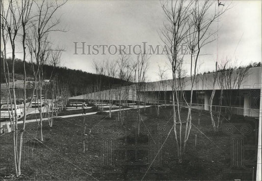 1982 Press Photo New trees at South Central Bell, Shelby County, Alabama - Historic Images