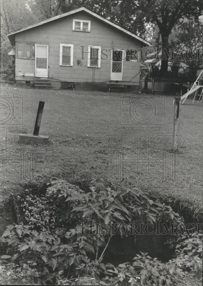 1980 Press Photo Sinkhole in Parrish yard on 15th Street - abna12594 - Historic Images