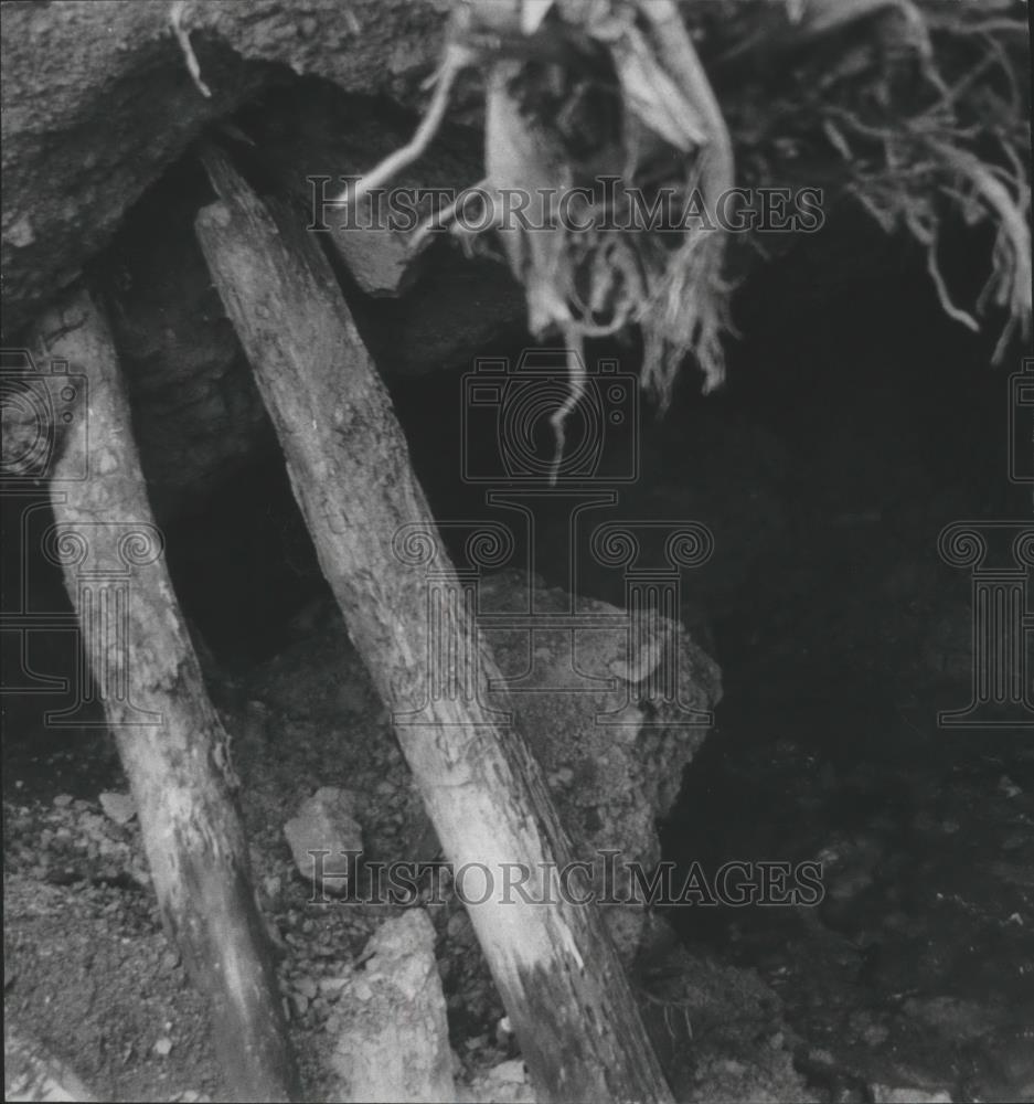 1978 Press Photo Sink hole at Simpson Creek, Alabama - abna12597 - Historic Images