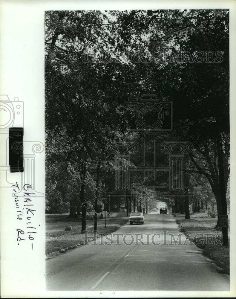 1979 Press Photo View along Chalkville-Trussville Road, Trussville, Alabama - Historic Images