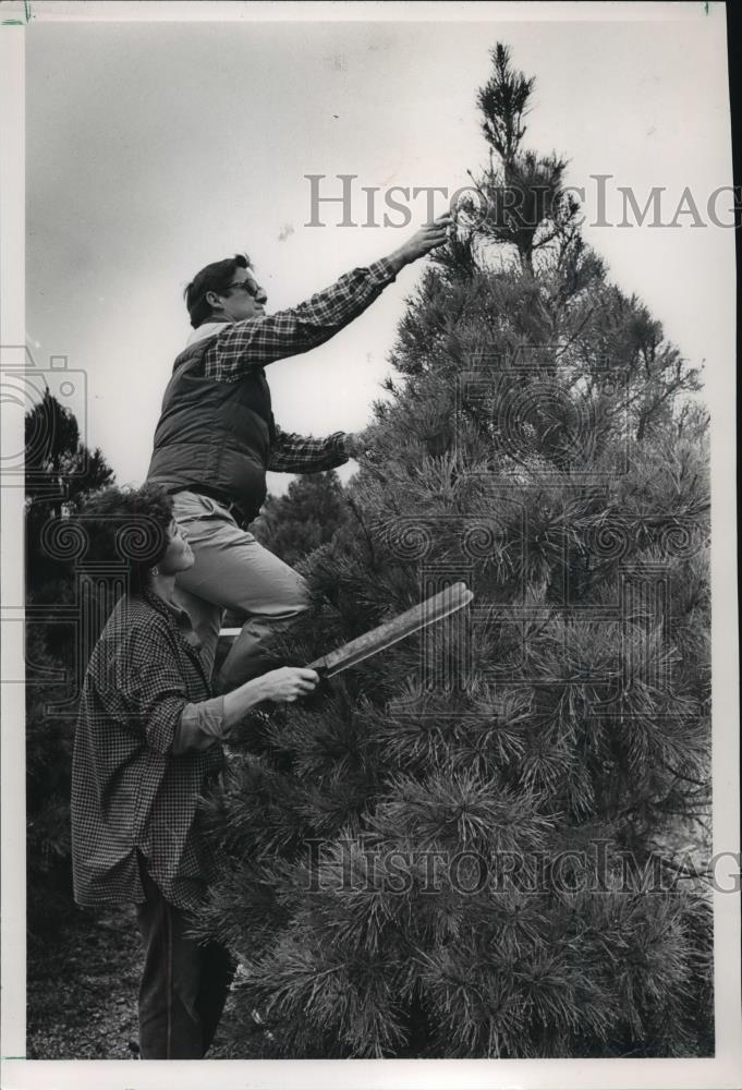 Press Photo Gilbert & Linda Vascocu cut tree for Christmas in Birmingham - Historic Images